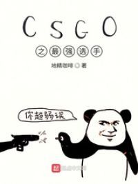 CSGO之最强选手